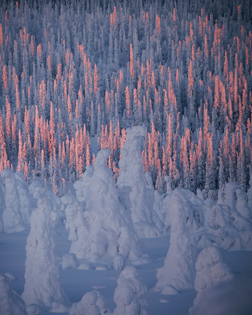 Into The Wild With Daniel Ernst: Capturing Nature's Majesty