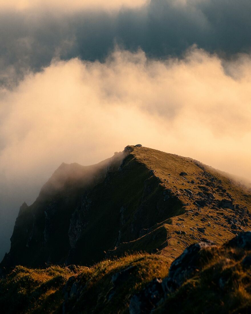 Into The Wild With Daniel Ernst: Capturing Nature's Majesty