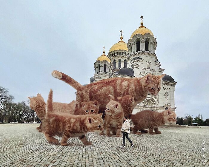 Pawsitively Epic: Russian Artist Envisions A Giant Feline World In New Series ( New Pics)