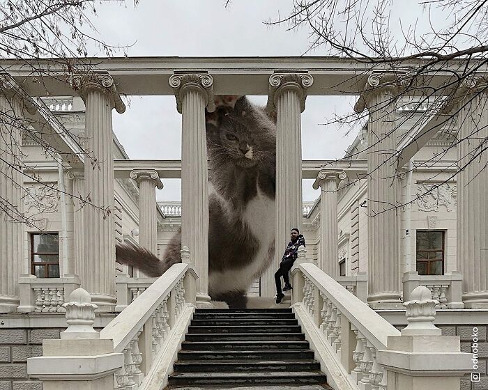 Pawsitively Epic: Russian Artist Envisions A Giant Feline World In New Series ( New Pics)