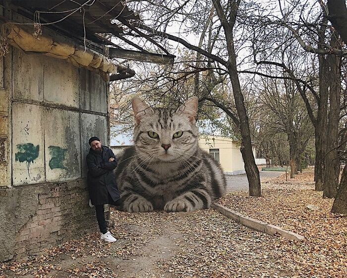 Pawsitively Epic: Russian Artist Envisions A Giant Feline World In New Series ( New Pics)