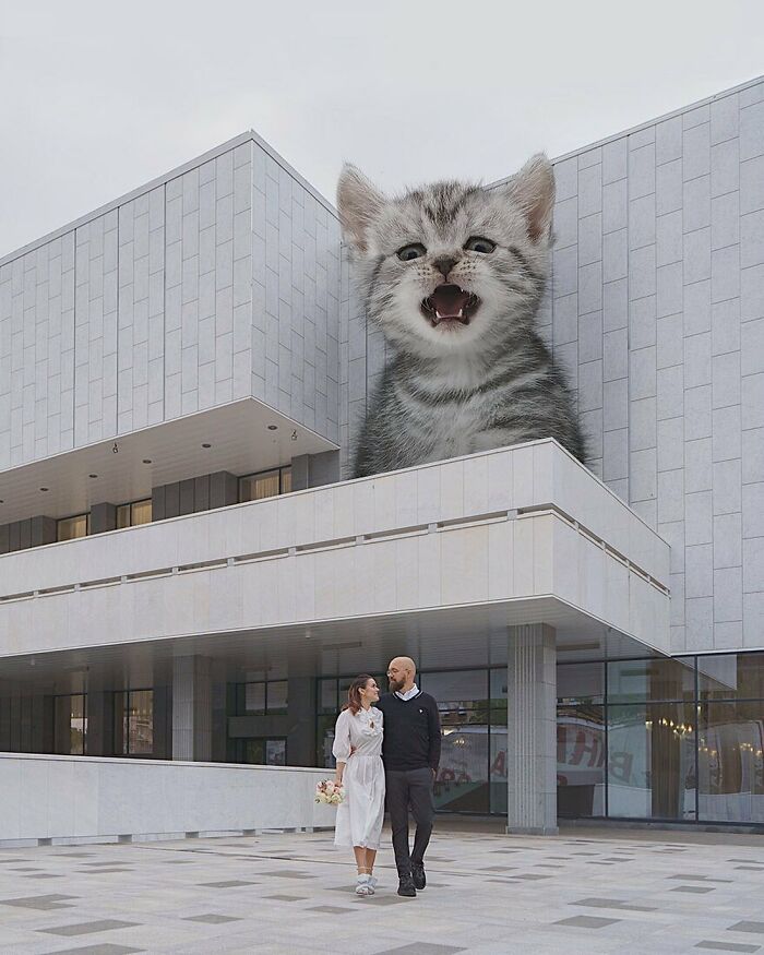 Pawsitively Epic: Russian Artist Envisions A Giant Feline World In New Series ( New Pics)