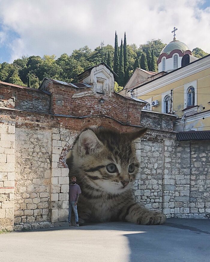 Pawsitively Epic: Russian Artist Envisions A Giant Feline World In New Series ( New Pics)