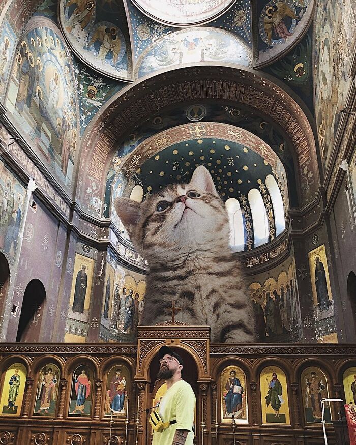 Pawsitively Epic: Russian Artist Envisions A Giant Feline World In New Series ( New Pics)