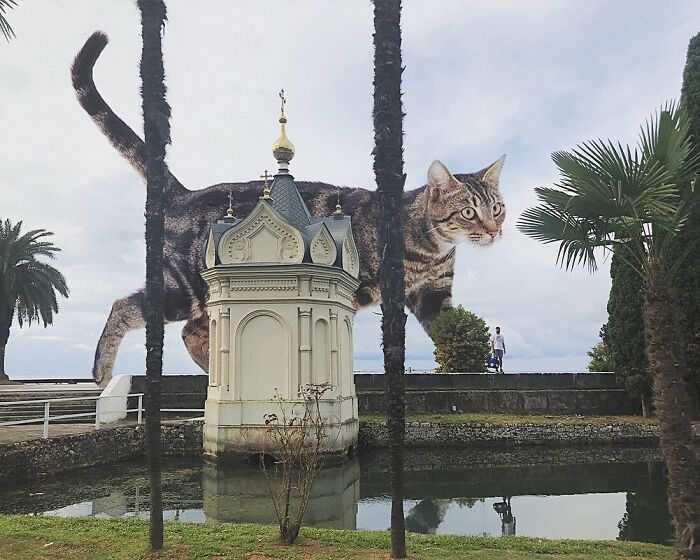 Pawsitively Epic: Russian Artist Envisions A Giant Feline World In New Series ( New Pics)