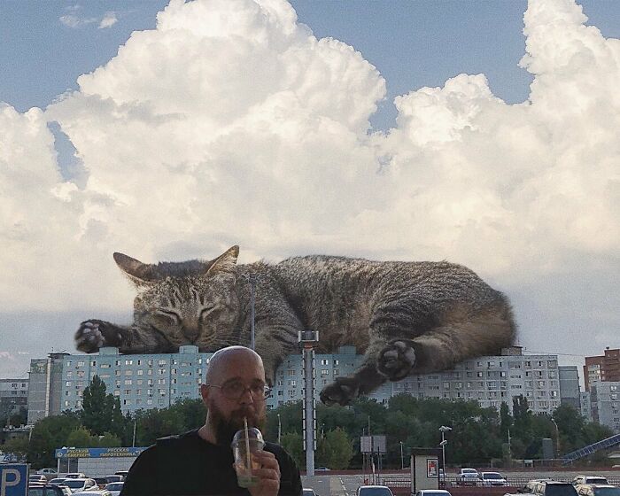 Pawsitively Epic: Russian Artist Envisions A Giant Feline World In New Series ( New Pics)