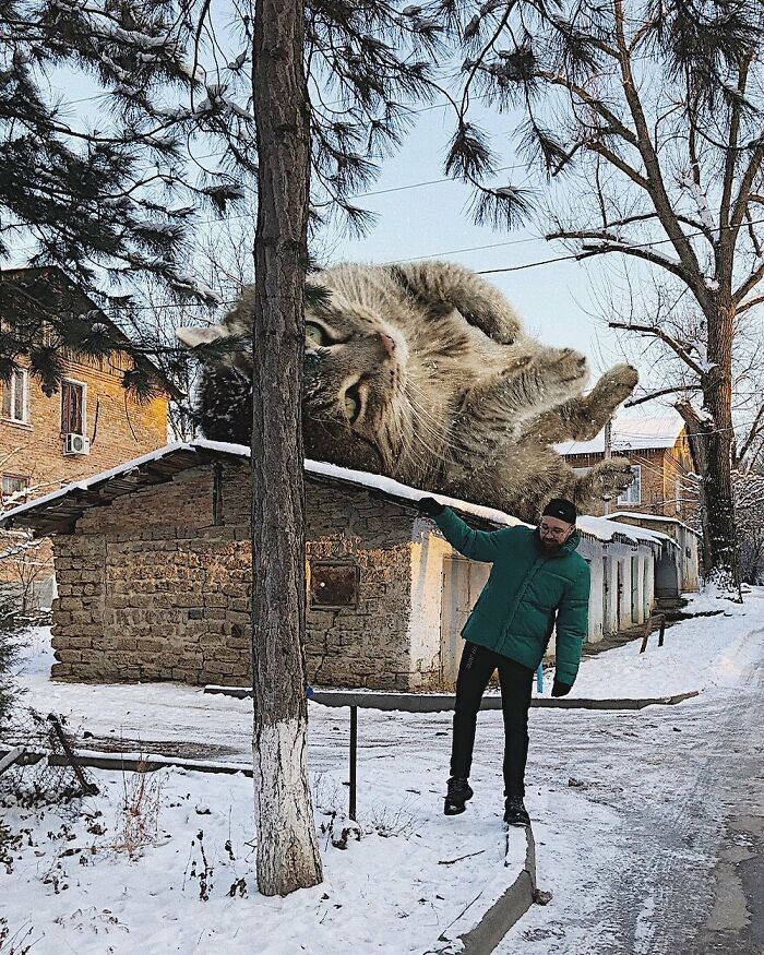 Pawsitively Epic: Russian Artist Envisions A Giant Feline World In New Series ( New Pics)