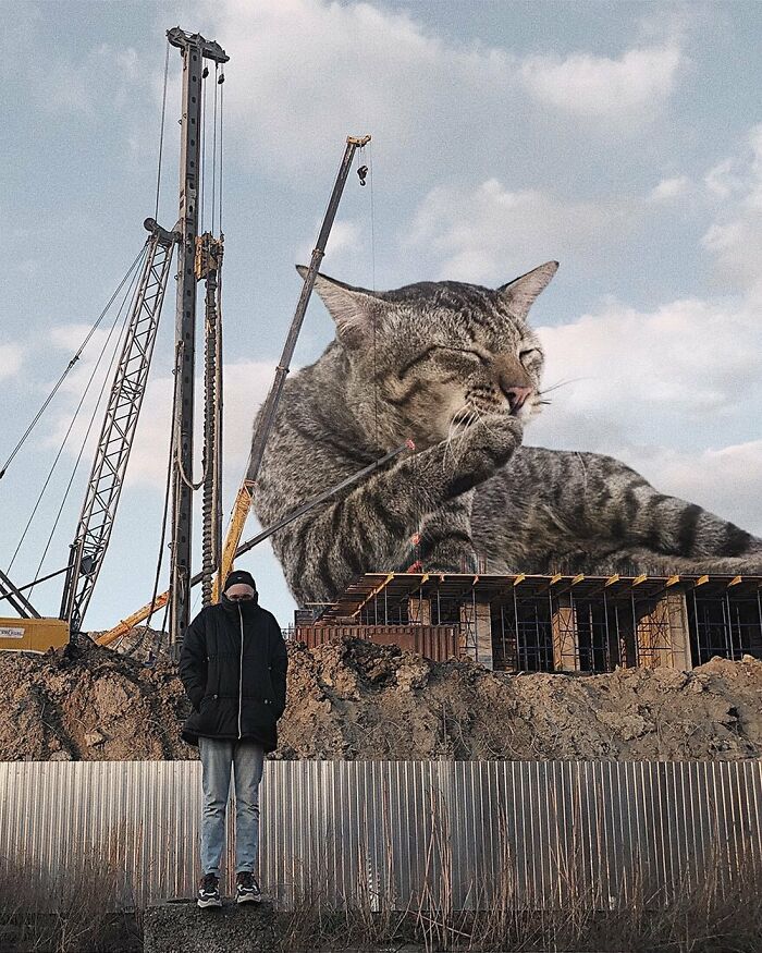 Pawsitively Epic: Russian Artist Envisions A Giant Feline World In New Series ( New Pics)