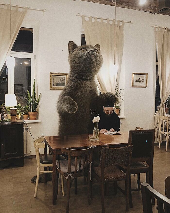 Pawsitively Epic: Russian Artist Envisions A Giant Feline World In New Series ( New Pics)