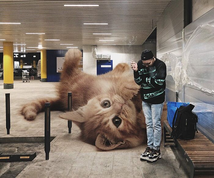 Pawsitively Epic: Russian Artist Envisions A Giant Feline World In New Series ( New Pics)