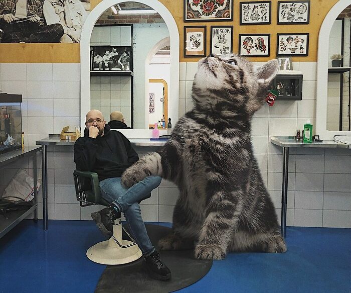 Pawsitively Epic: Russian Artist Envisions A Giant Feline World In New Series ( New Pics)