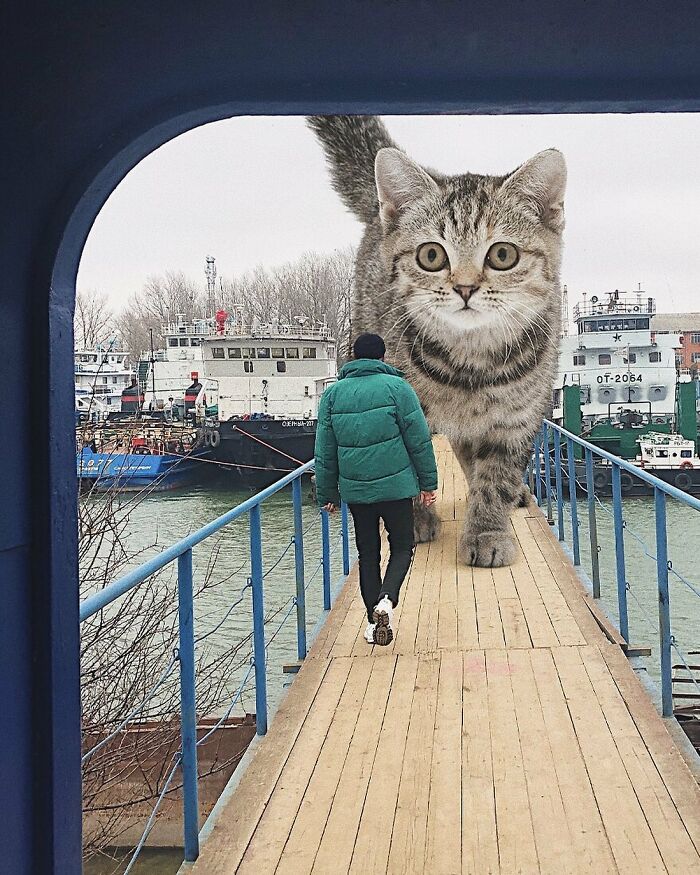 Pawsitively Epic: Russian Artist Envisions A Giant Feline World In New Series ( New Pics)