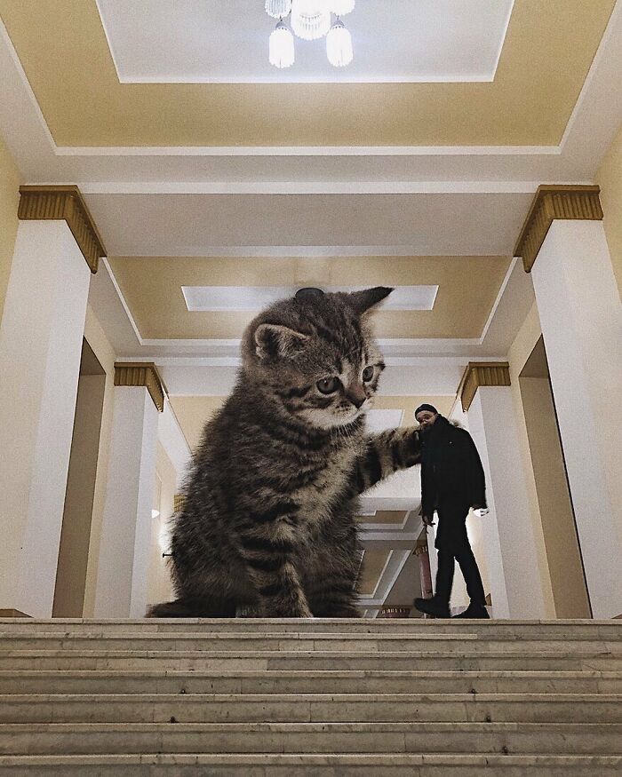 Pawsitively Epic: Russian Artist Envisions A Giant Feline World In New Series ( New Pics)