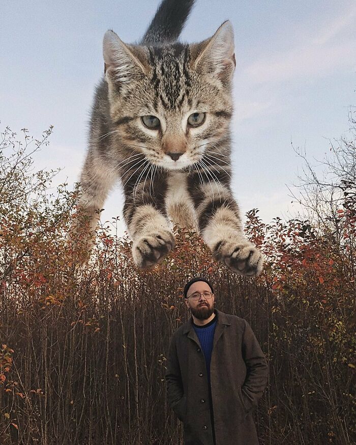 Pawsitively Epic: Russian Artist Envisions A Giant Feline World In New Series ( New Pics)