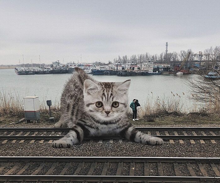 Pawsitively Epic: Russian Artist Envisions A Giant Feline World In New Series ( New Pics)