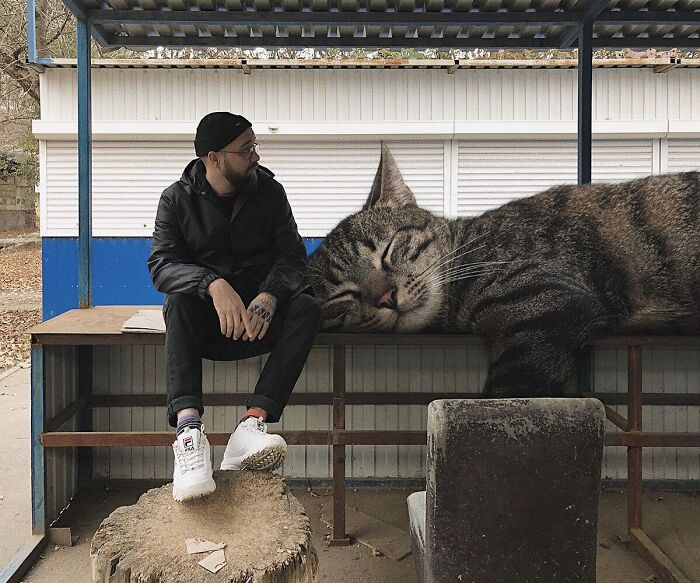 Pawsitively Epic: Russian Artist Envisions A Giant Feline World In New Series ( New Pics)