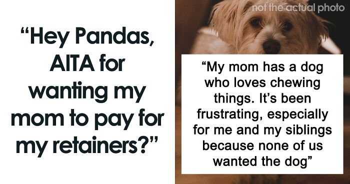 Hey Pandas, AITA For Wanting My Mom To Pay For My Retainers That Her Dog Ruined?