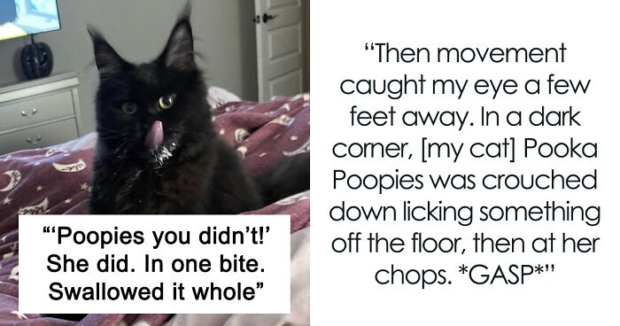 Woman Who Calls Her Cat A “4-Pound Garbage-Disposal Goblin” Said It Ate Her Sliced-Off Toe In One Go