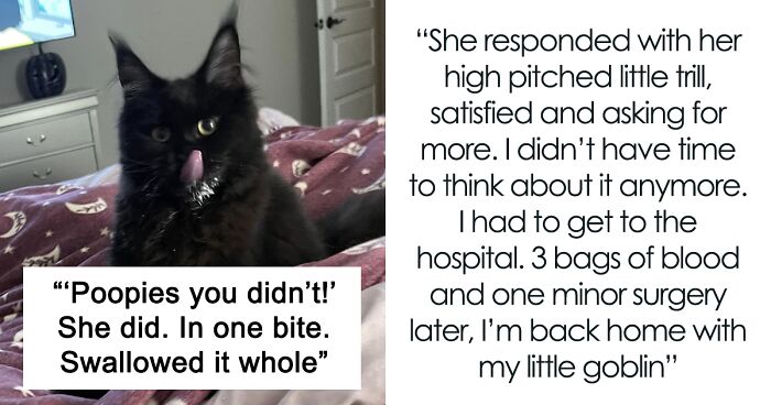 Woman Says The Bond With Her Cat Was Strengthened After The Cat Sneakily Consumed Her Toe