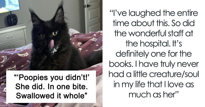 Woman Says The Bond With Her Cat Was Strengthened After The Cat Sneakily Consumed Her Toe