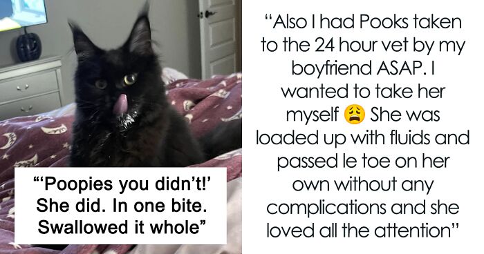 “I’m Honored”: Woman Unbothered That Her Cat Ate Her Severed Toe And Loves Her Pet Even More