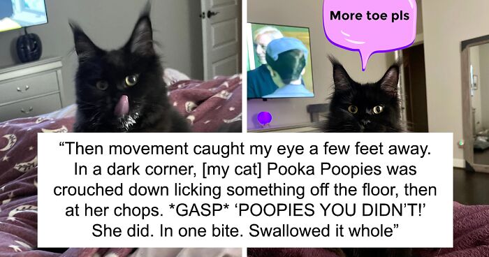 Lady Admires Her Naughty Cat For Eating Her Toe, Says She Wouldn’t Want Anyone Else To Have Done It