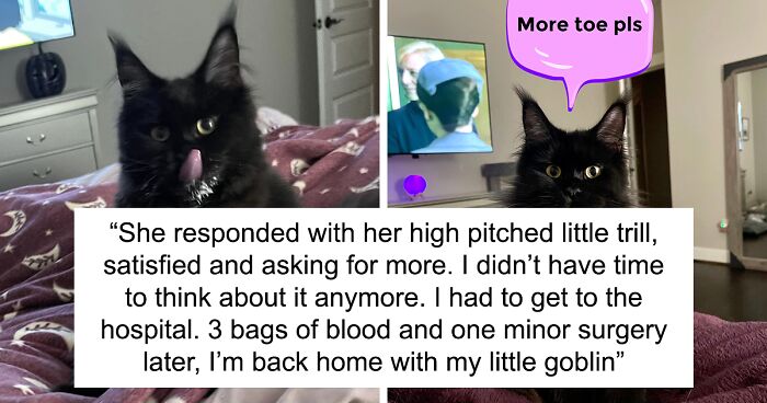 Woman Says The Bond With Her Cat Was Strengthened After The Cat Sneakily Consumed Her Toe