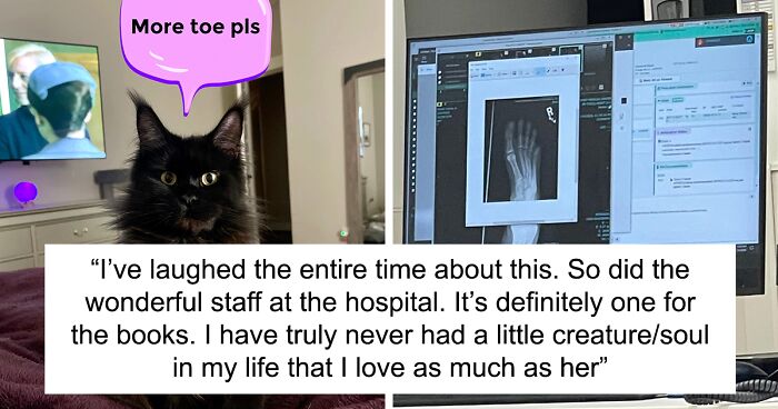 Cat Eats Its Owner’s Sliced-Off Toe, No Wonder It’s Nicknamed A “4-Pound Garbage-Disposal Goblin”