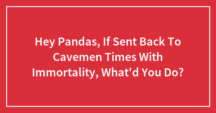 Hey Pandas, If Sent Back To Cavemen Times With Immortality, What’d You Do?