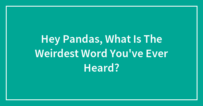 Hey Pandas, What Is The Weirdest Word You’ve Ever Heard?