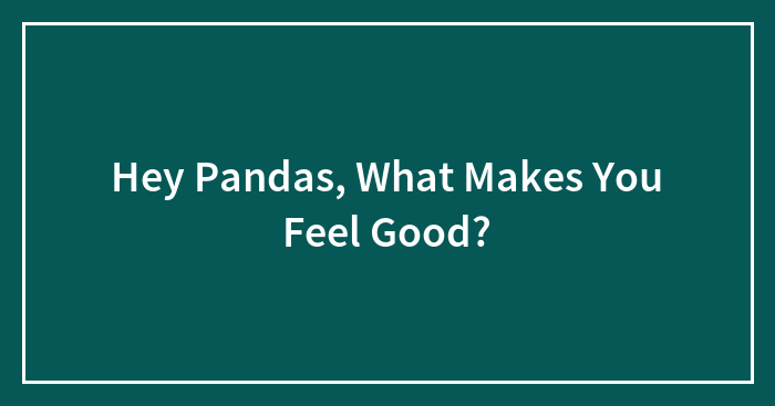 Hey Pandas, What Makes You Feel Good? (Closed)