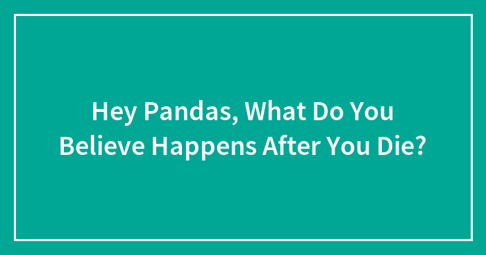 Hey Pandas, What Do You Believe Happens After You Die? (Closed)