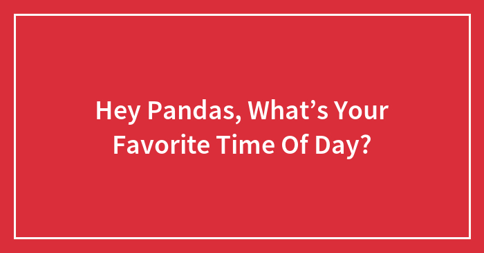 Hey Pandas, What’s Your Favorite Time Of Day? (Closed)