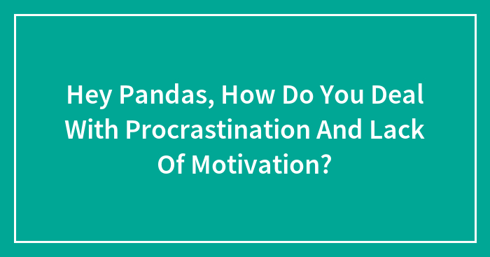 Hey Pandas, How Do You Deal With Procrastination And Lack Of Motivation?