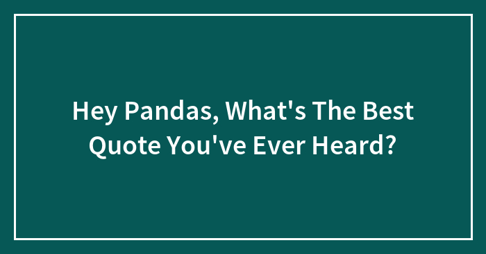 Hey Pandas, What’s The Best Quote You’ve Ever Heard? (Closed)