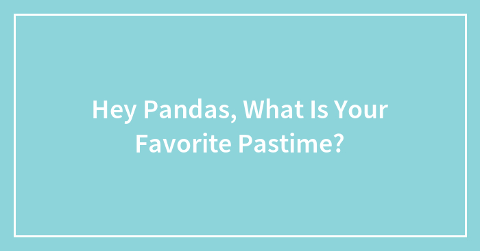 Hey Pandas, What Is Your Favorite Pastime?