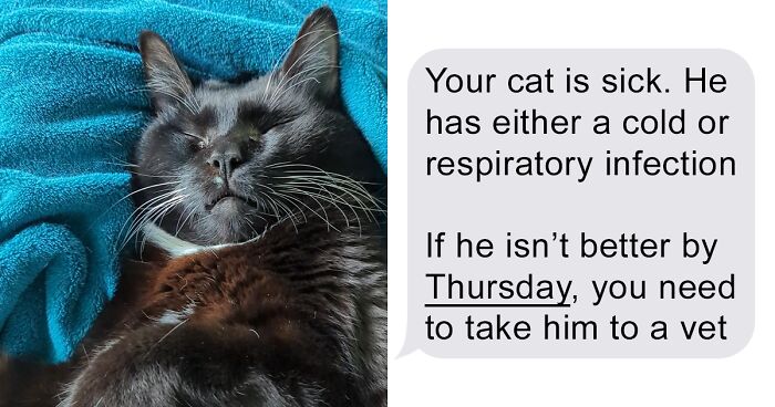 Person Warns Friend They Are Cat-Sitting For That The Pet Is Sick, Gets Ghosted