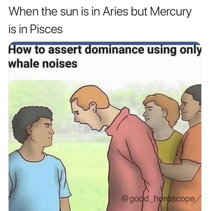 Astrology Memes