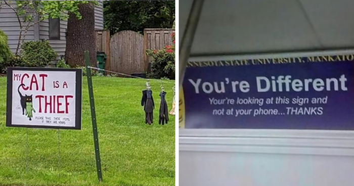 40 Times People Put Up Such Funny Signs, They Ended Up On This X Page