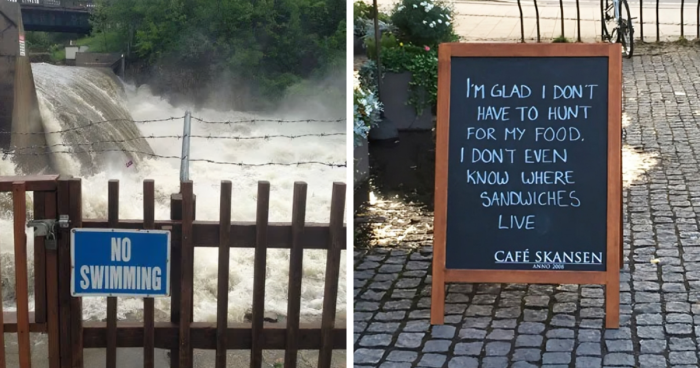 71 Hilariously Chaotic Signs That People Have Found In The Wild