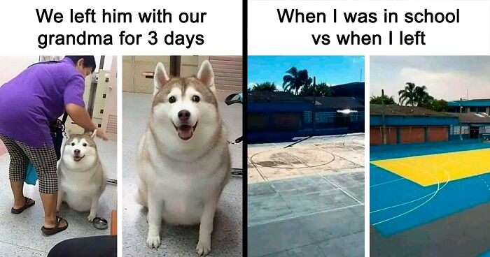 There’s An Instagram Page That Shares Hilarious Memes And Here Are 80 Of Its Best Posts