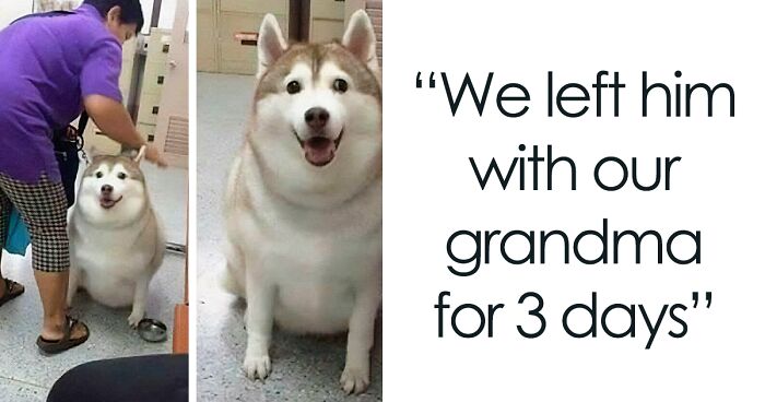 80 Random Funny Memes To Boost Your Mood, As Shared On This IG Page