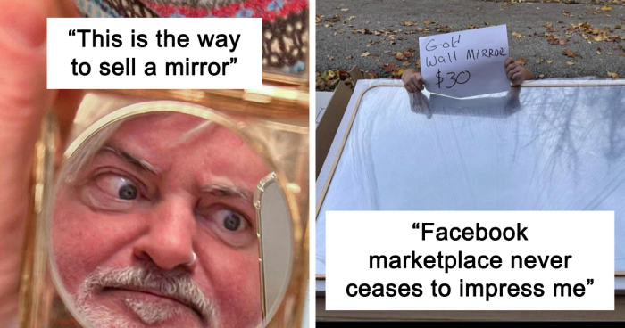 102 Times Mirror-Selling Pics Were More Than Customers Could Ever Bargain For (New Pics)