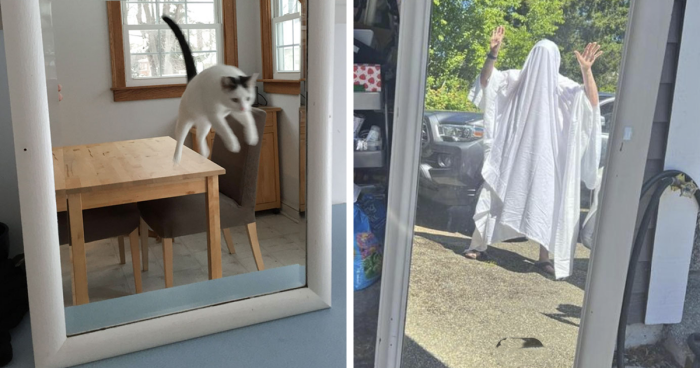 102 Funny People Who Never Imagined Putting A Mirror For Sale Could Be So Damn Tricky (New Pics)