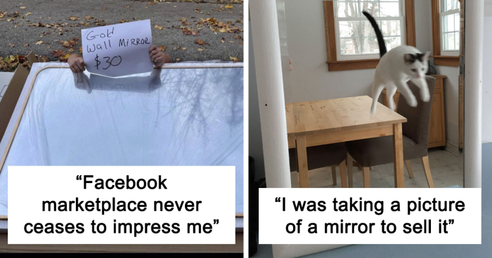 102 Times Pics Of People Trying To Sell Mirrors Cracked The Internet Up (New Pics)