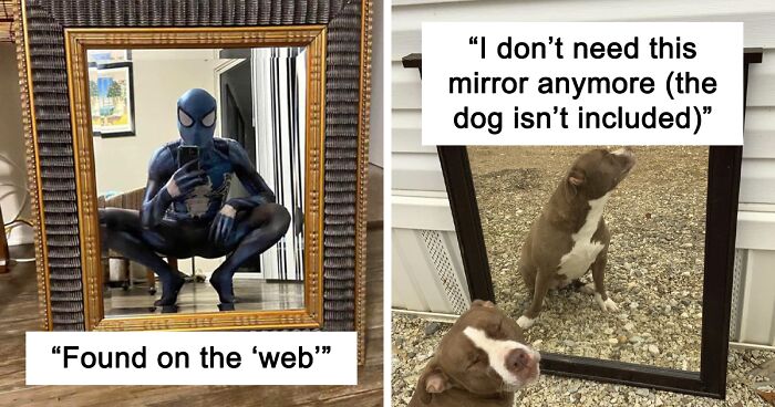 102 Pics Of People Trying To Sell Mirrors That Are Comedy Gold (New Pics)