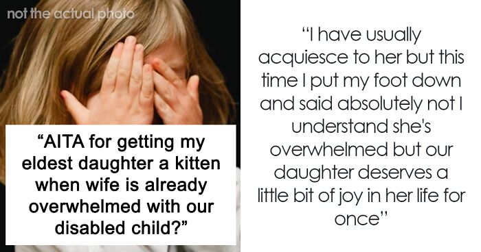 “Our Daughter Deserves A Little Bit Of Joy”: Dad Refuses To Return Kitten After Wife Complains