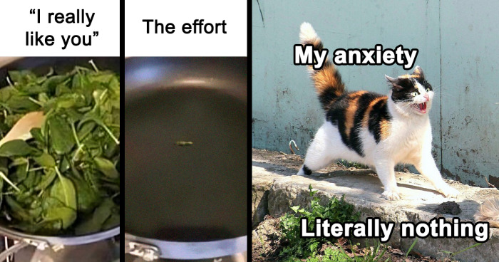 73 Hilarious Memes About Mental Health You Might Want To Share With Your Therapist