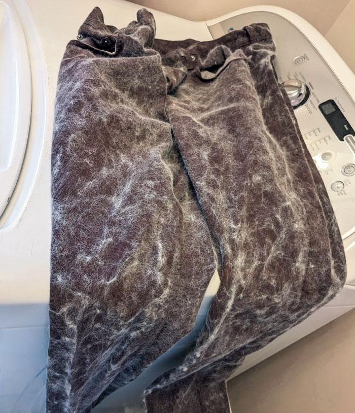 My Wife Washed My New Pair Of Jeans So I Could Wear Them Today. She Also Threw In Her Big And Fuzzy Blanket