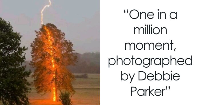 70 Times People Shared Incredible Things, Places And Events Online (New Pics)